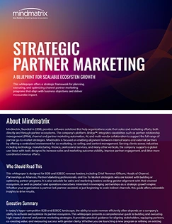 Strategic Partner Marketing: A Blueprint for Ecosystem Growth