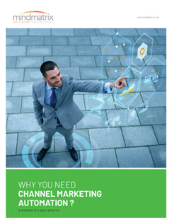 Bridge Why You Need Channel Marketing Automation