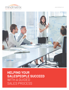 helping-your-sales-people-succeed-with-a-guided-sales-process